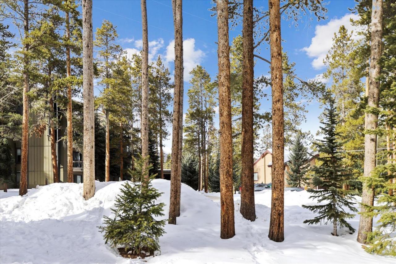 Park Forest Estates Breckenridge Exterior photo